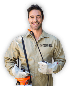 pest-control-man pest control man